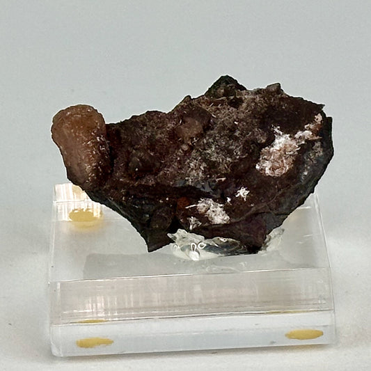 Poldervaaritite